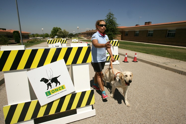 Una persona cega amb el seu gos pigall fent un recorregut amb obstacles pel carrer