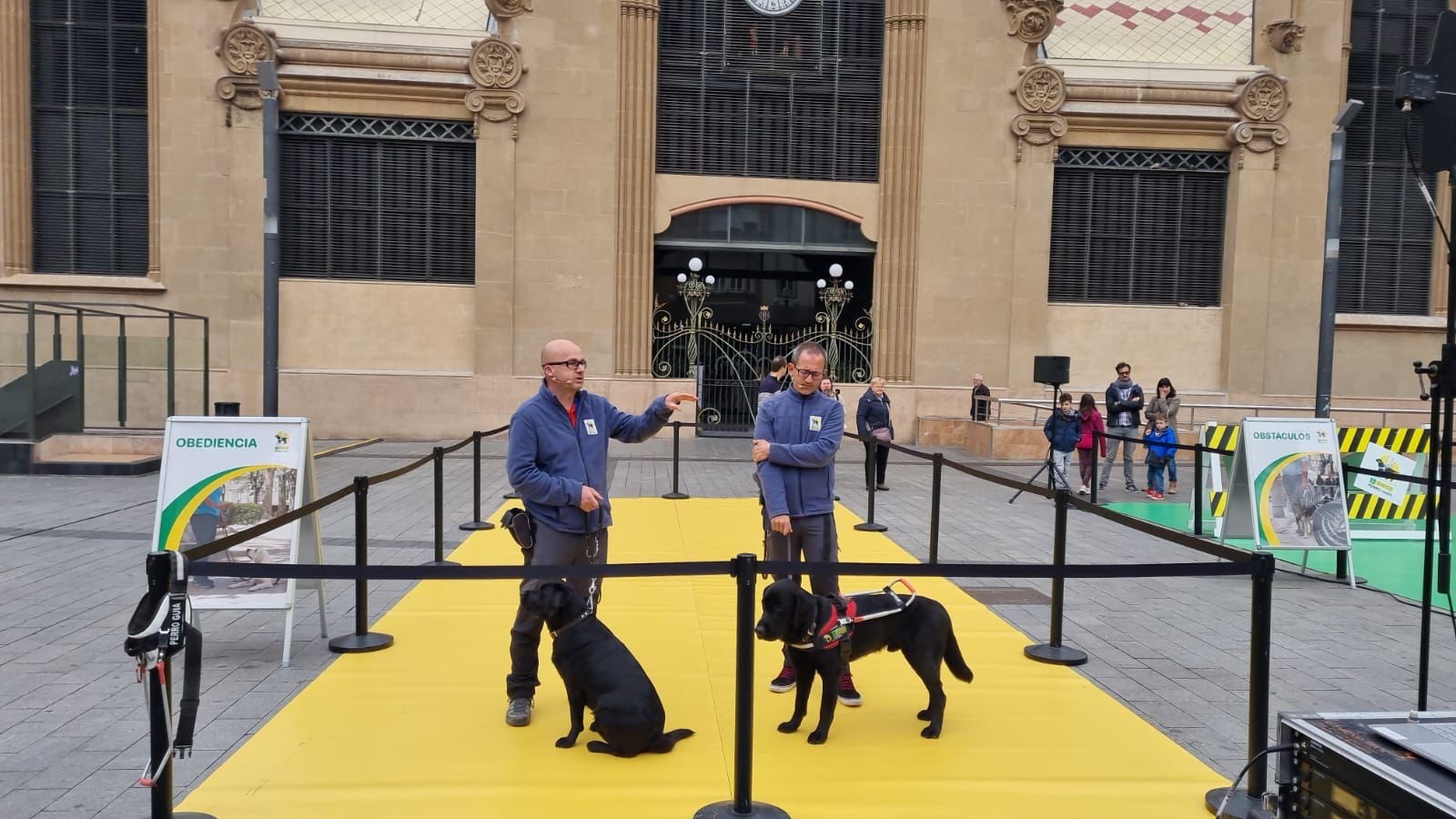 Dos instructors amb dos gossos pigall de la Fundación ONCE del Perro Guia (FOPG), al la Plaça Corsini de Tarragona.