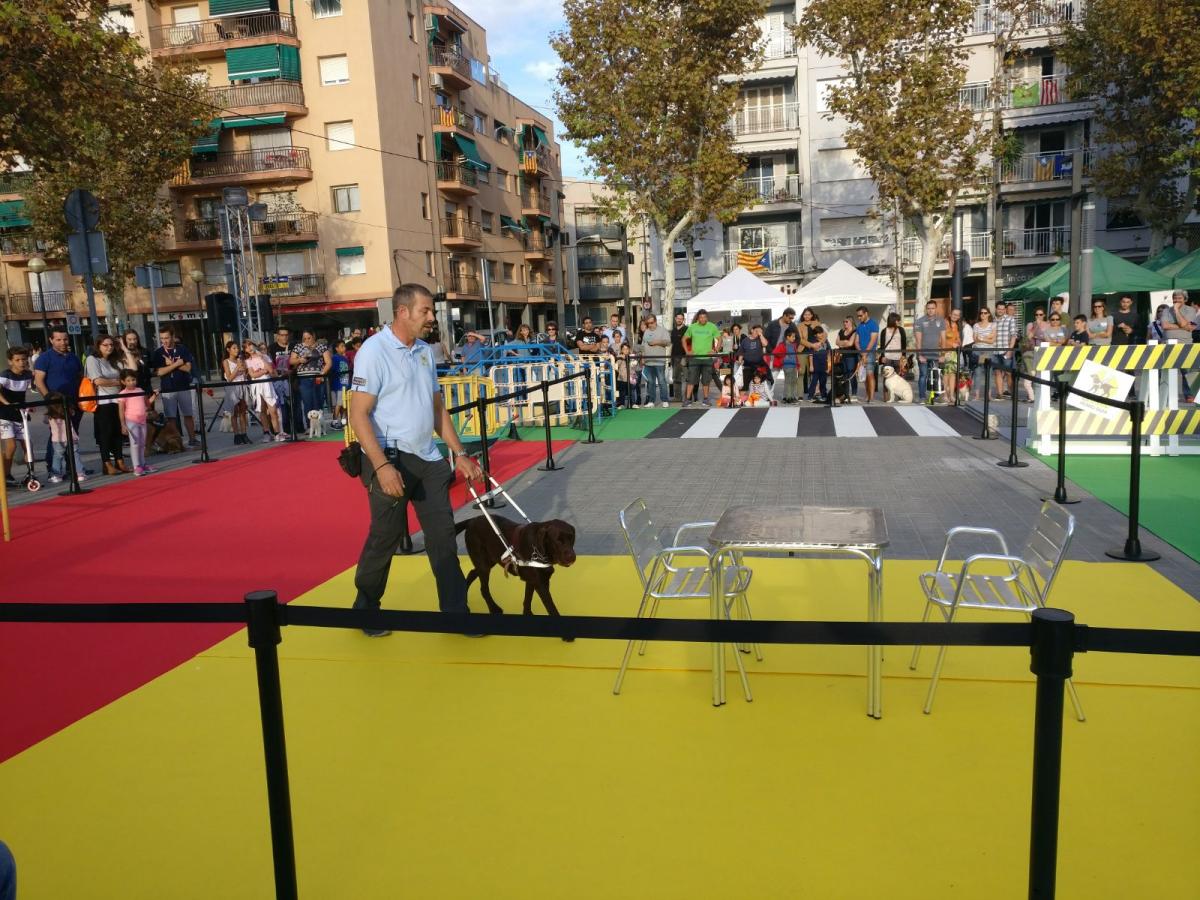 La Fundación ONCE del Gos Pigall (FOPG), que fa dos anys va celebrar el seu 25è aniversari, organitza habitualment exhibicions amb l’objectiu de difondre la feina que realitzen els gossos guia a diari per les ciutats i pobles de Catalunya acompanyant a una persona cega o amb discapacitat visual greu.