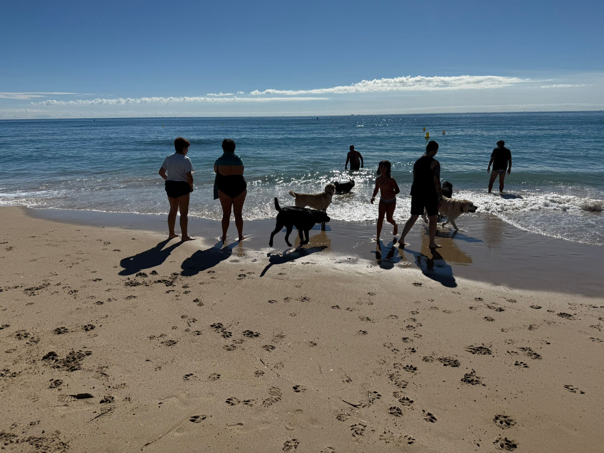 Gossos pigall i usuàries a la platja del Barri Marítim de Torredembarra.