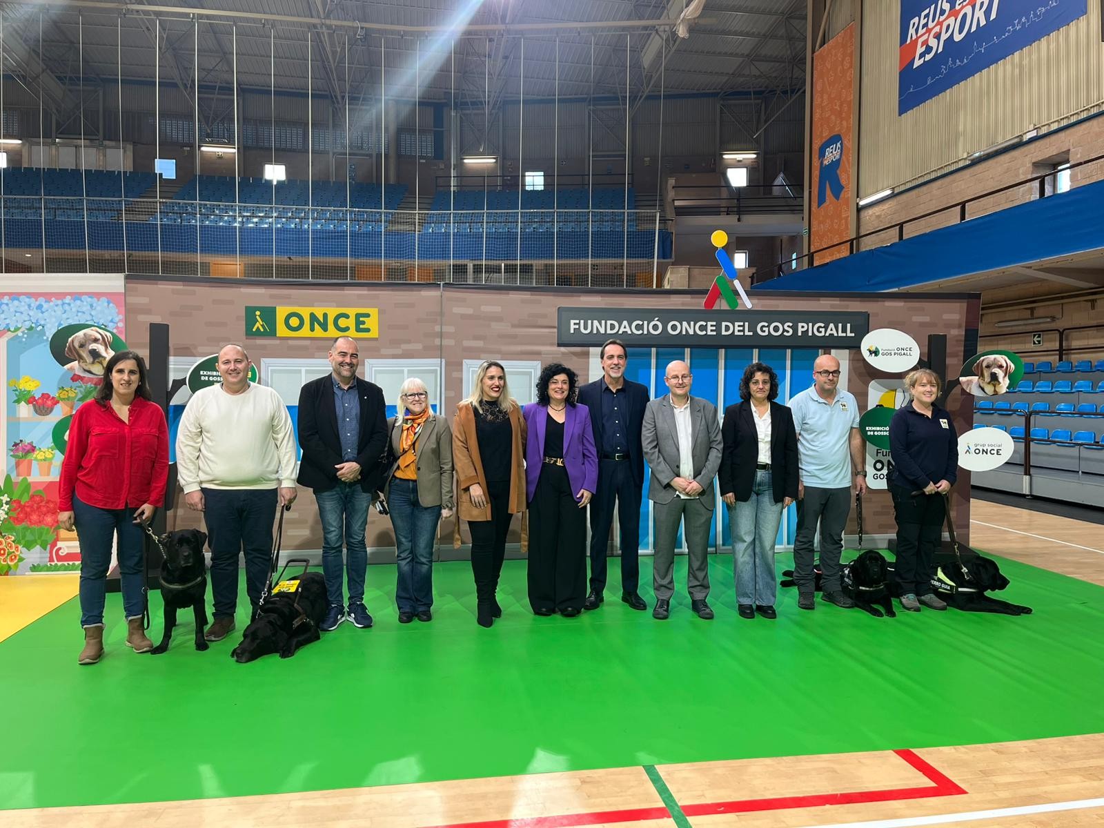 Foto de família de la gran exhibició de gossos pigall, celebrada a Reus.