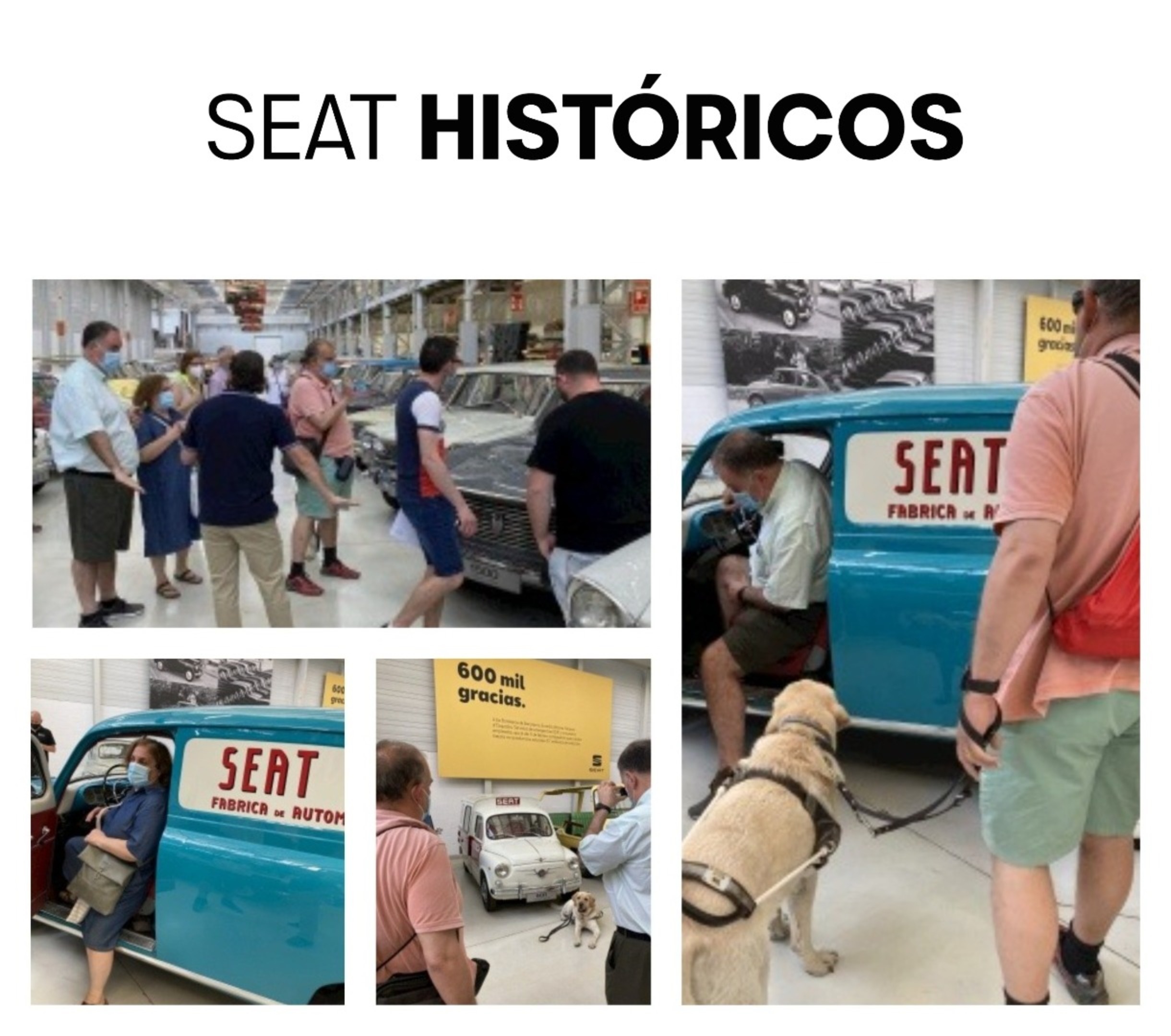 collage_seat_1.jpg