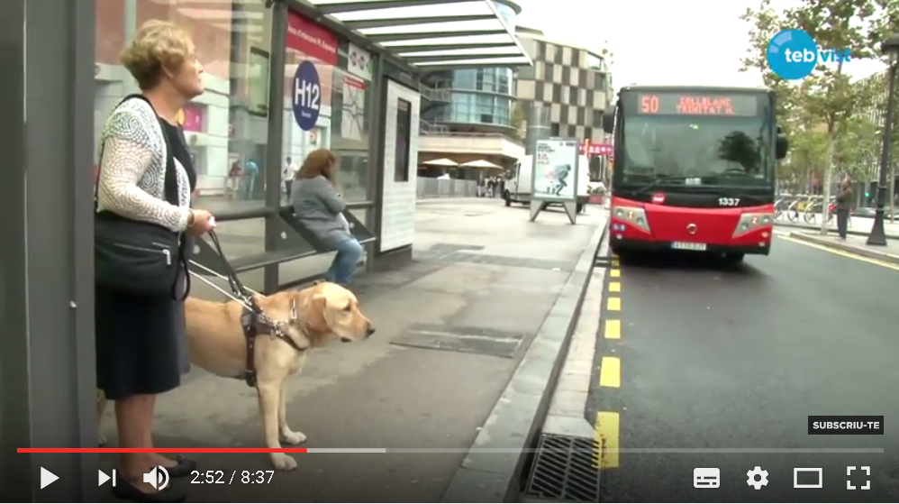 fotgrama_del_video_de_una_usuaria_con_su_perro_guia.jpg