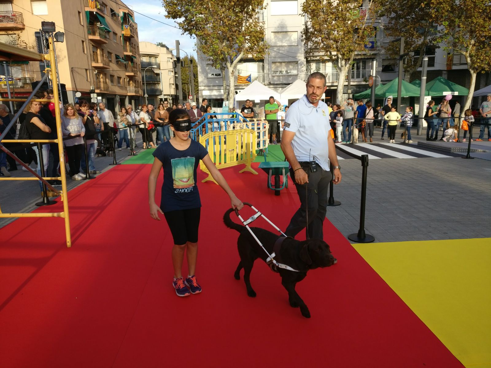 perro_guia_vilanova_.jpg