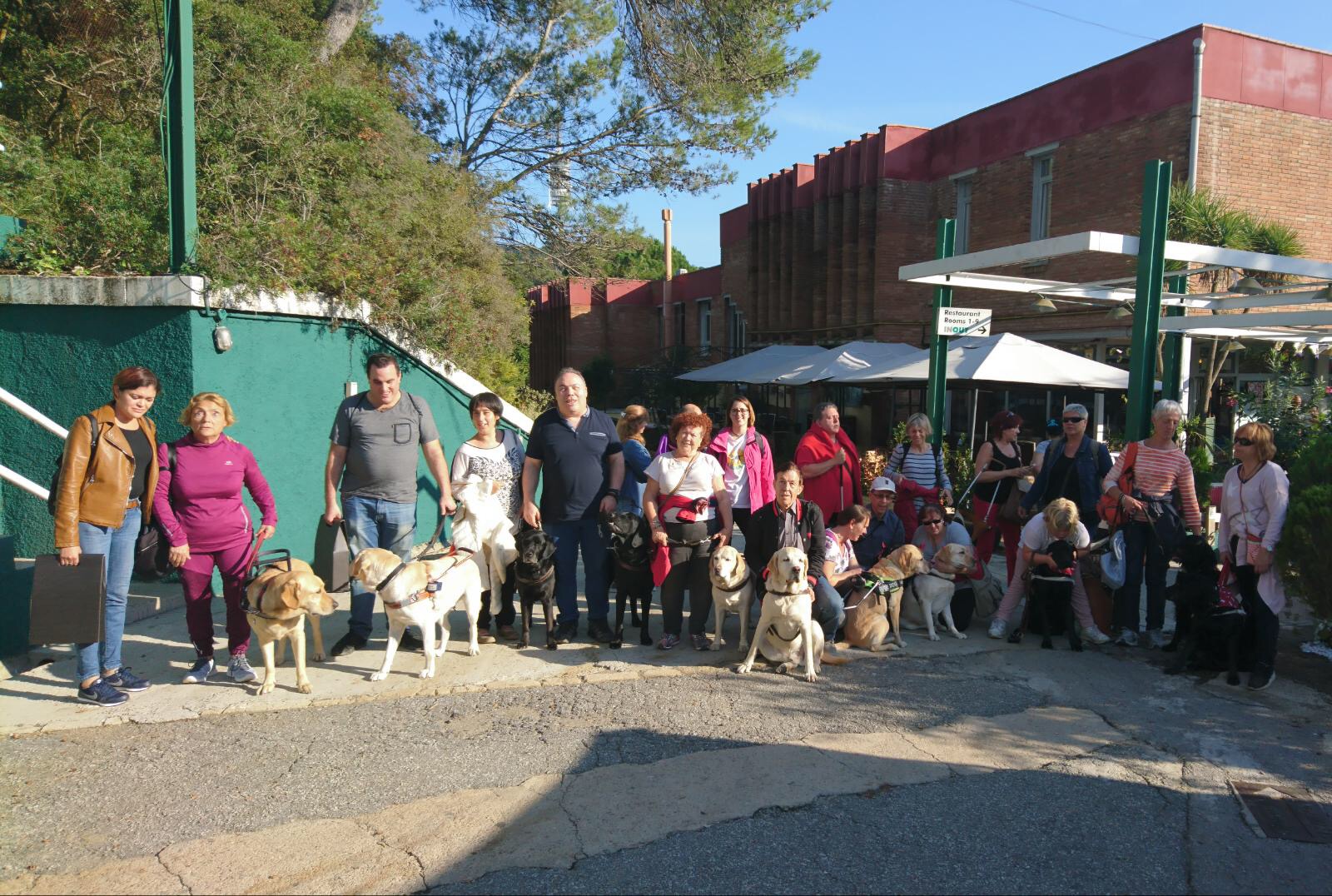 perros_guia_collserola_ok_2.jpg