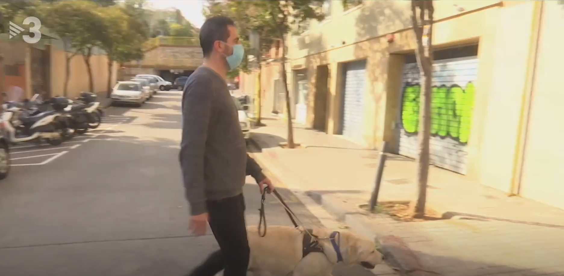 ramon_perro.png