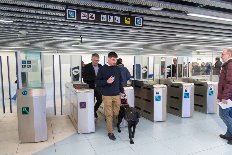 tmb_perro_negro_metro_1.jpeg