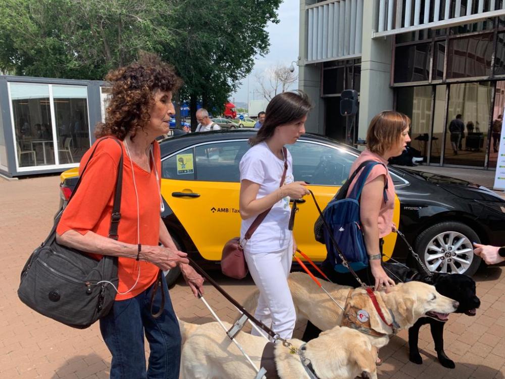 Tres persones caminant amb el seu gos pigall