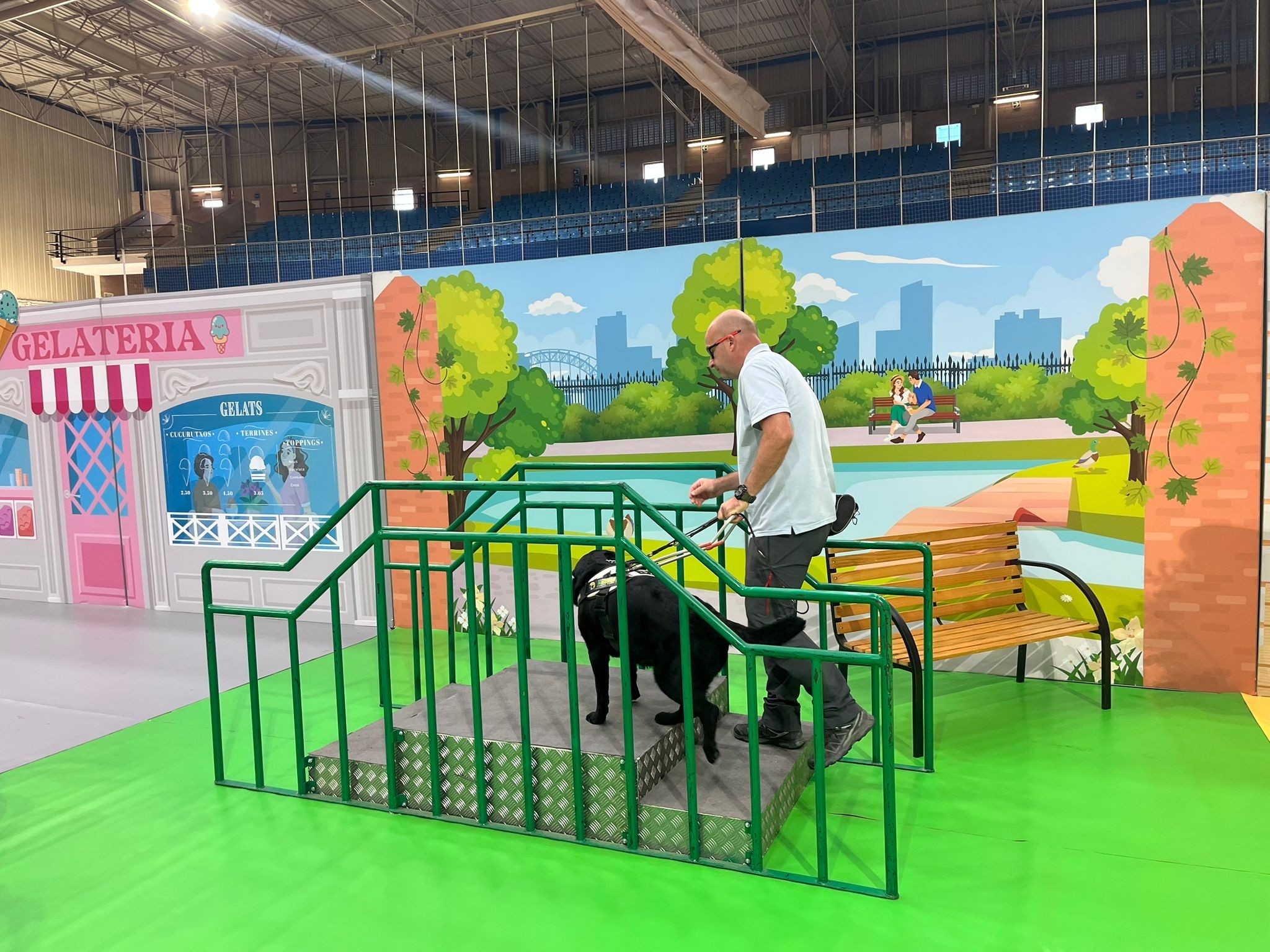 A l'exhibició, es va mostrar en un circuit com és el procés d'ensinistrament perquè els gossos puguin salvar obstacles, pujar o baixar escales, creuar passos de zebra, buscar portes o romandre en una cafeteria.